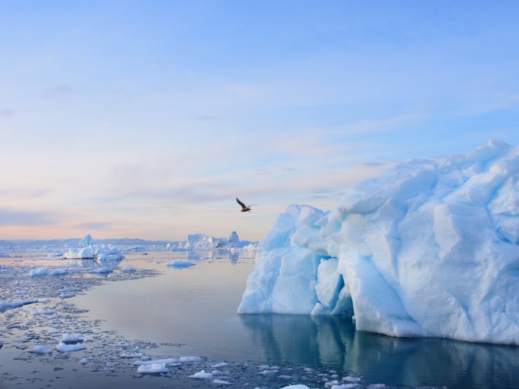 Eisberge auf der Insel Grönland