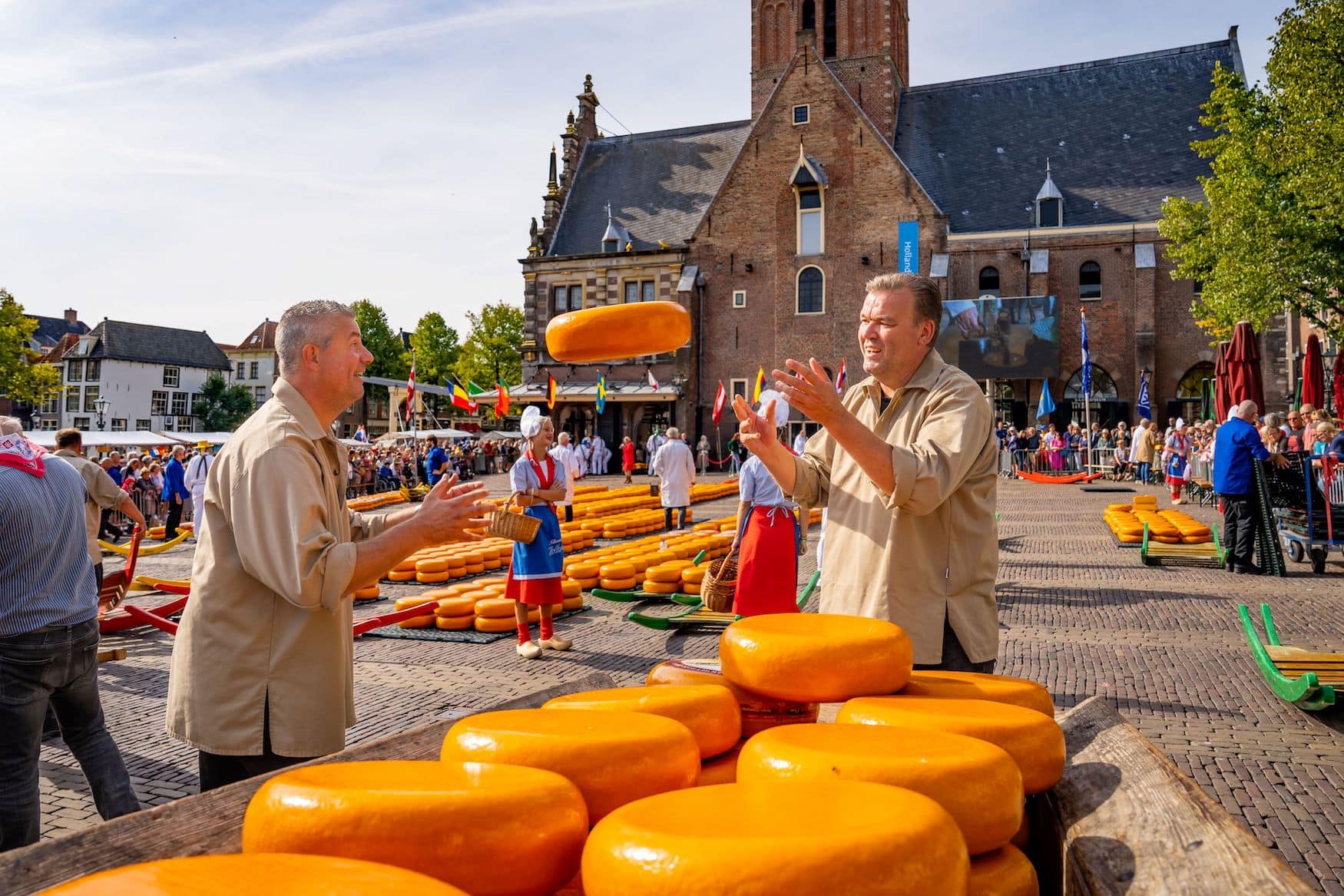 Käsewerfer verladen die gekauften Käse