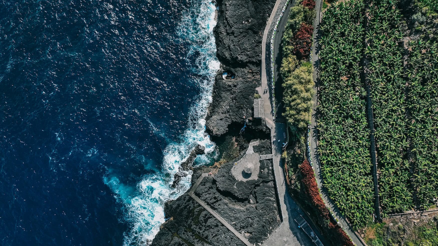 Bananen auf La Palma