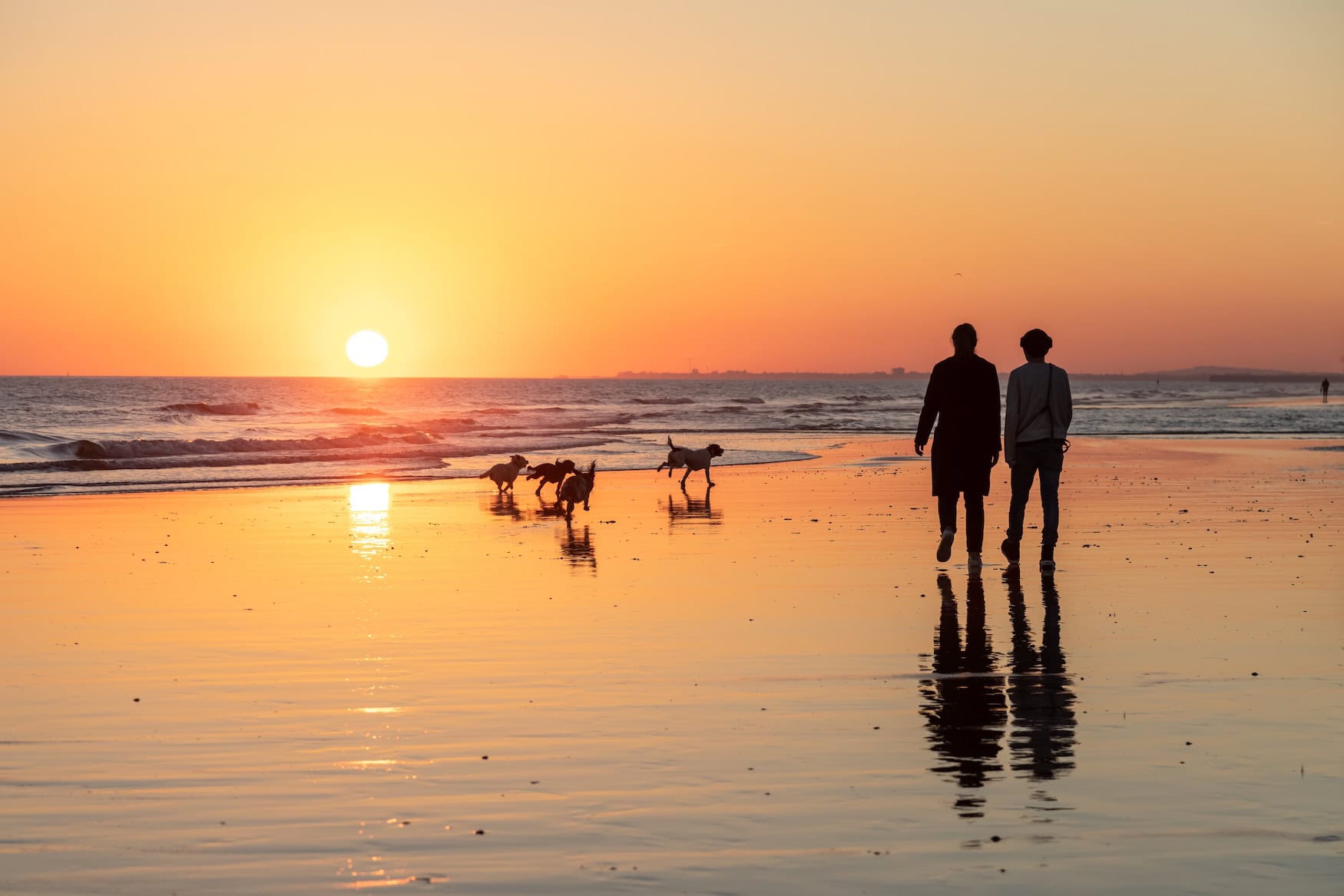 zwei Menschen mit Hunden am Strand bei Sonnenuntergang