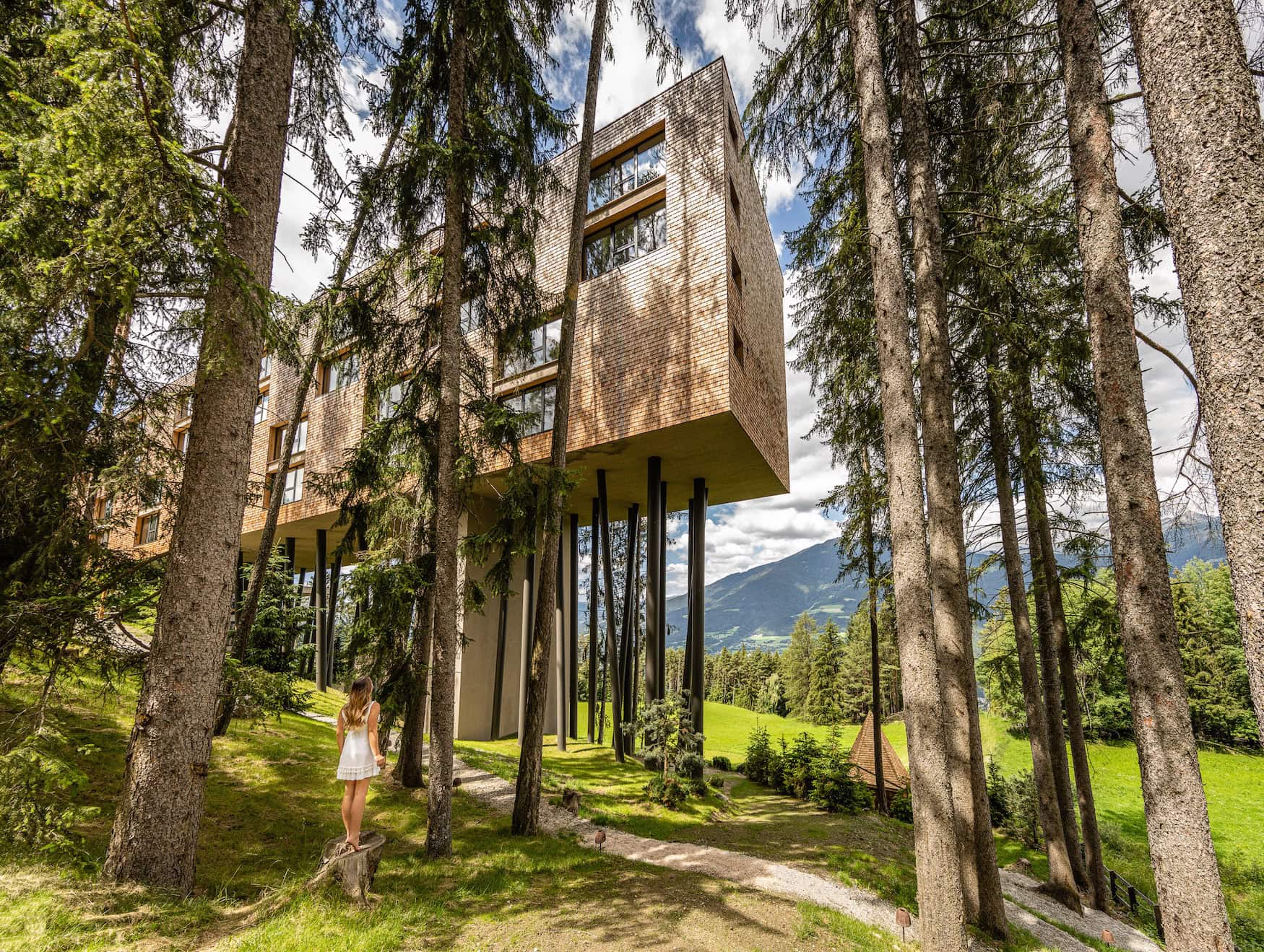 Das Baumhotel My Arbor in Brixen in Südtirol