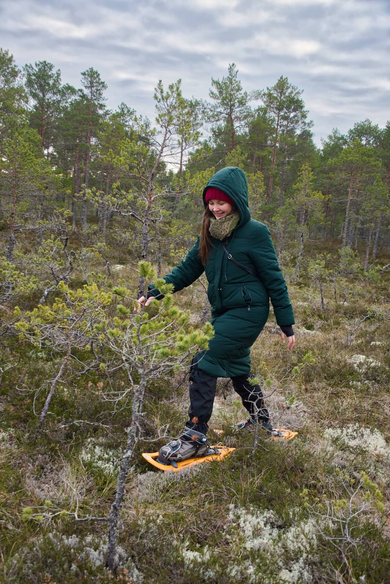 Moorwanderung in Estland 