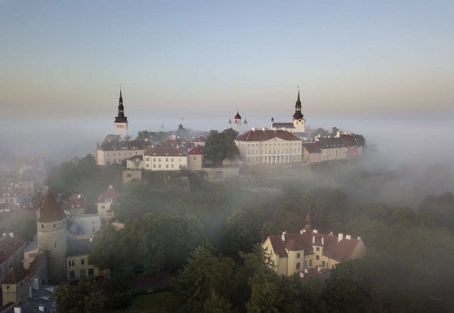 Altstadt von Tallinn im Nebel 