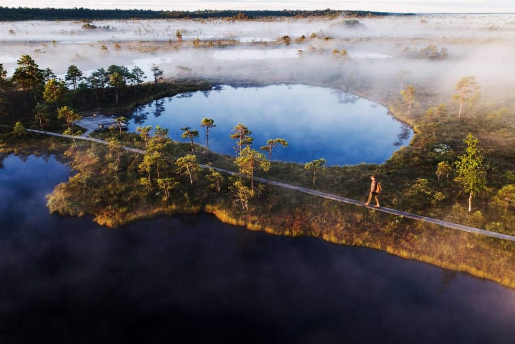 Moorlandschaft in Estland