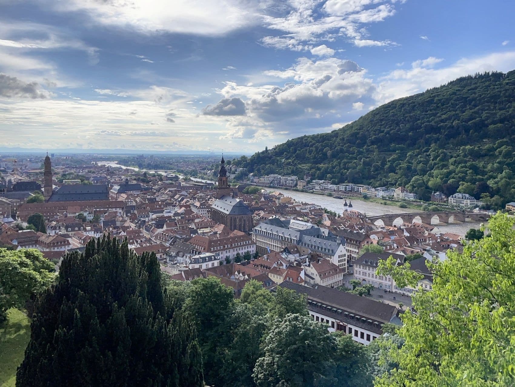 Blick auf Panorama von Heidelberg vom Schloss aus
