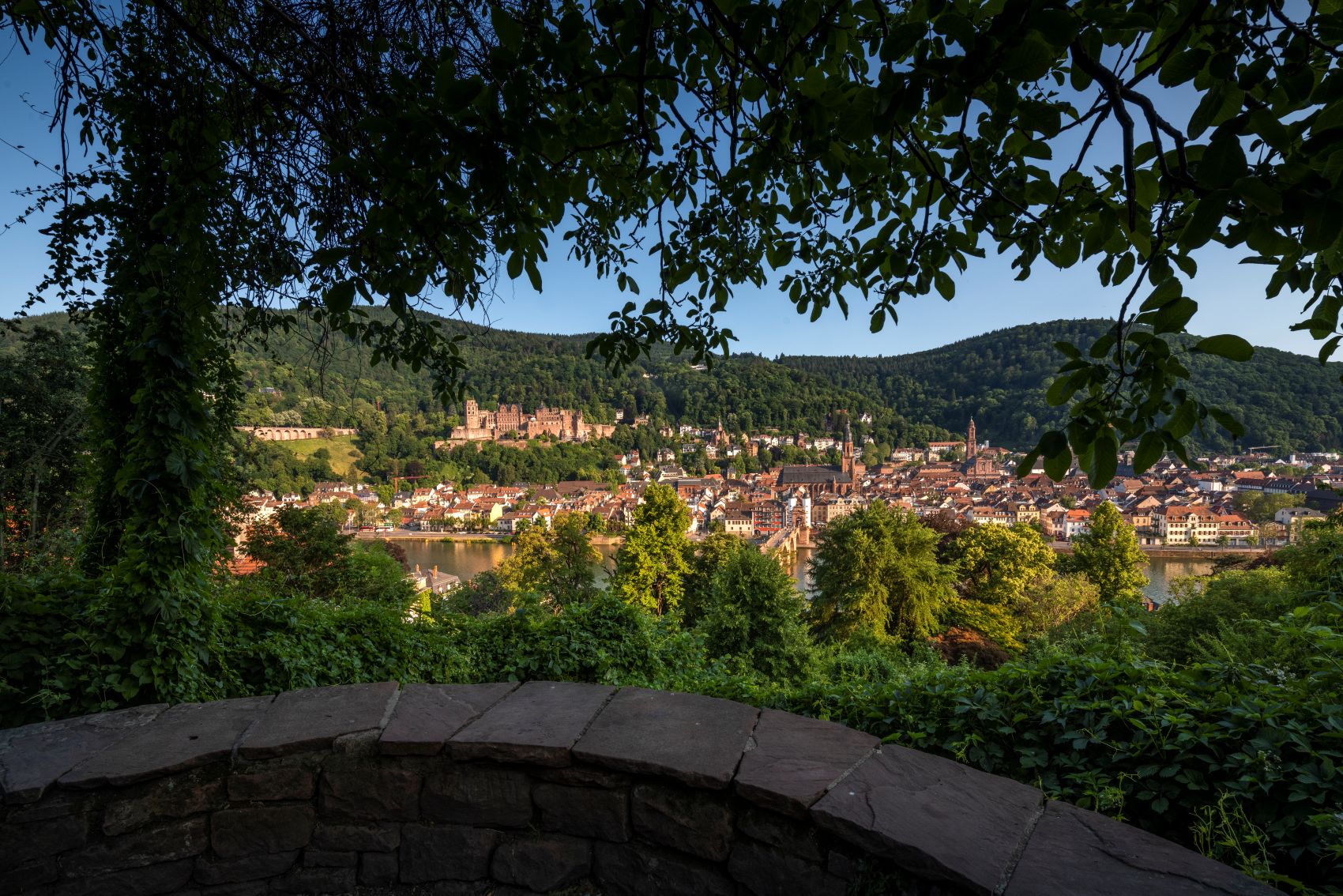 Aussicht vom Schlangenweg auf Panorama von Heidelberg