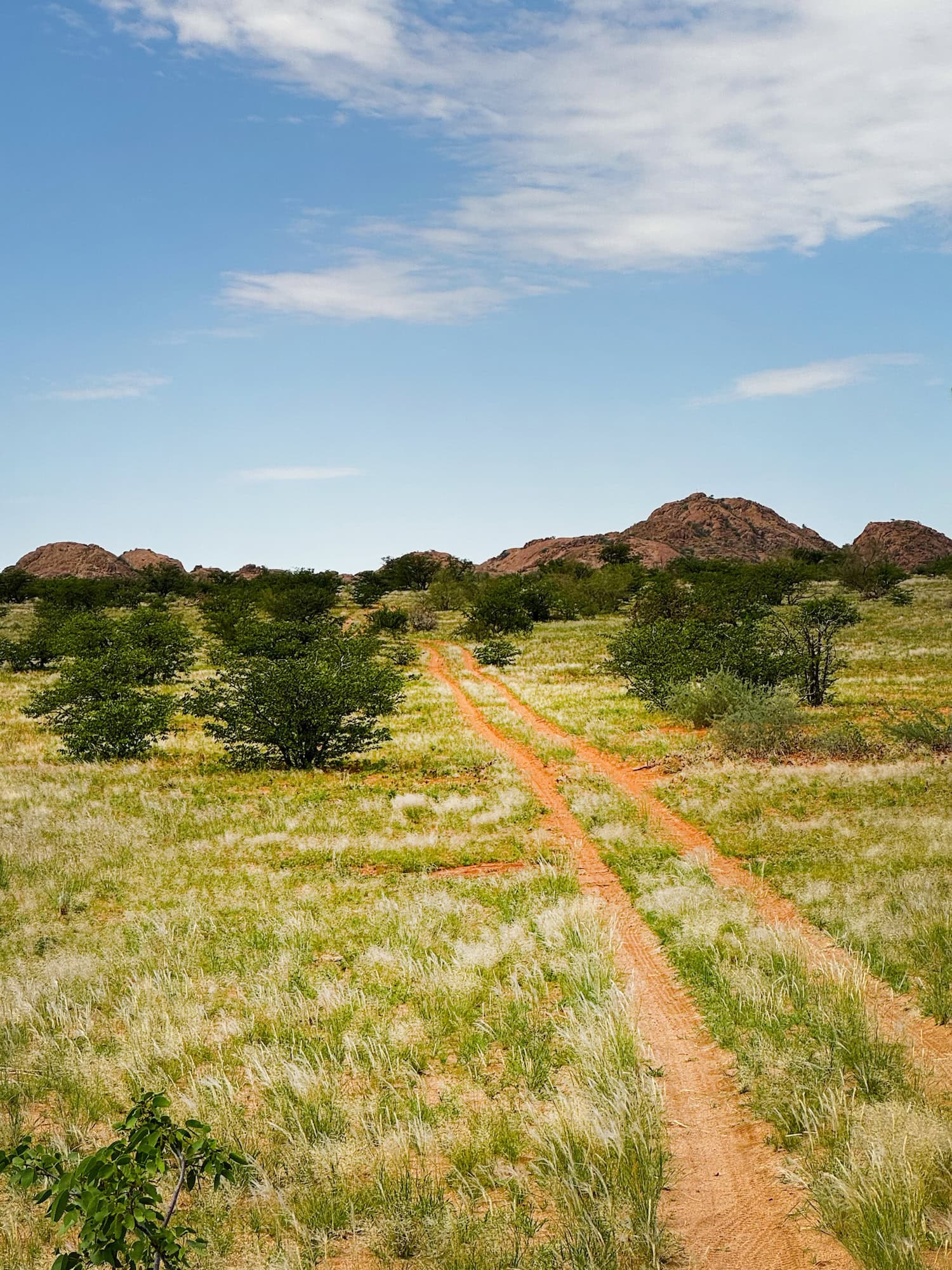 Straße im Damaraland