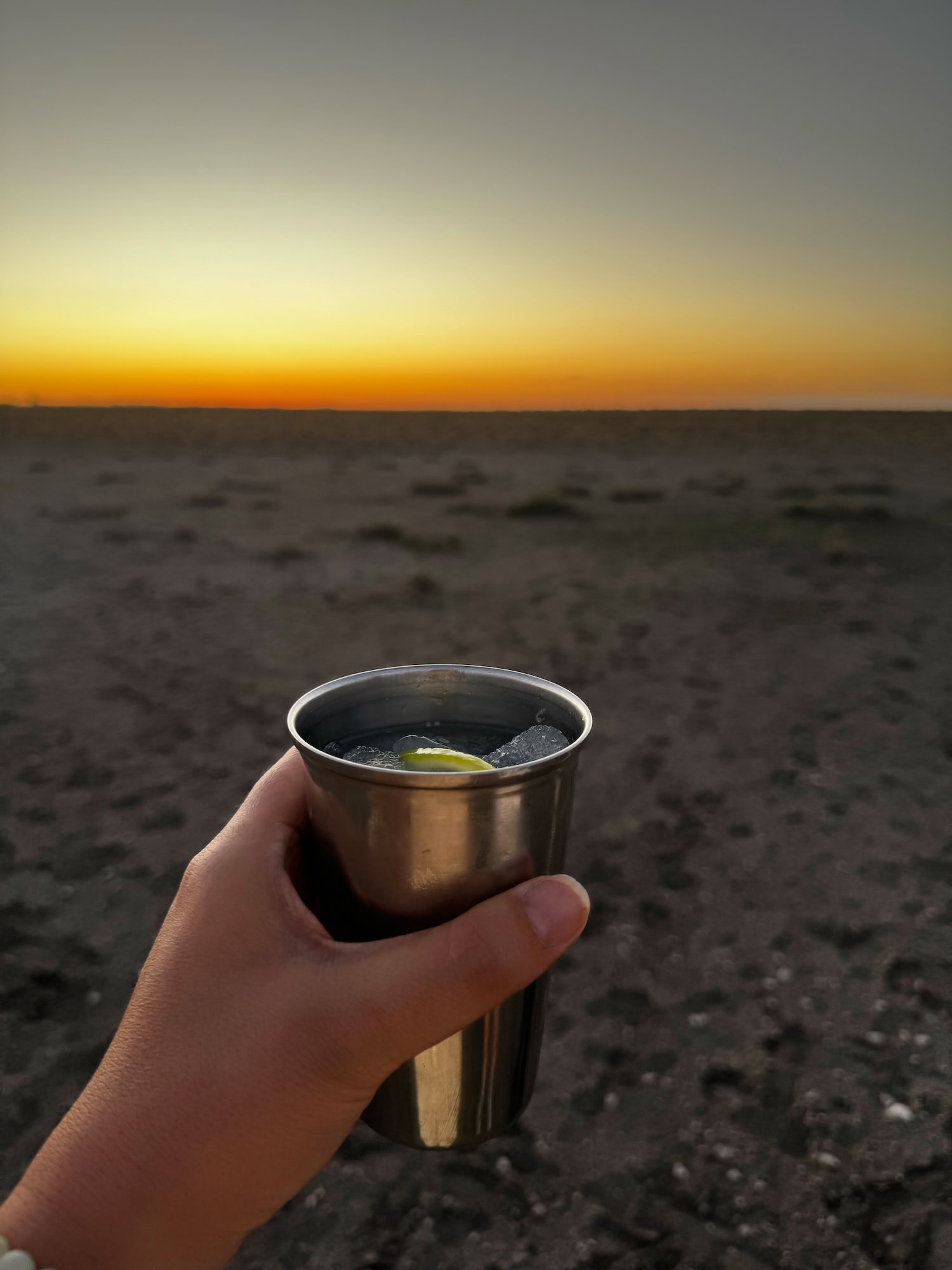 Ein Gin Tonic zum Sonnenuntergang gefällig?