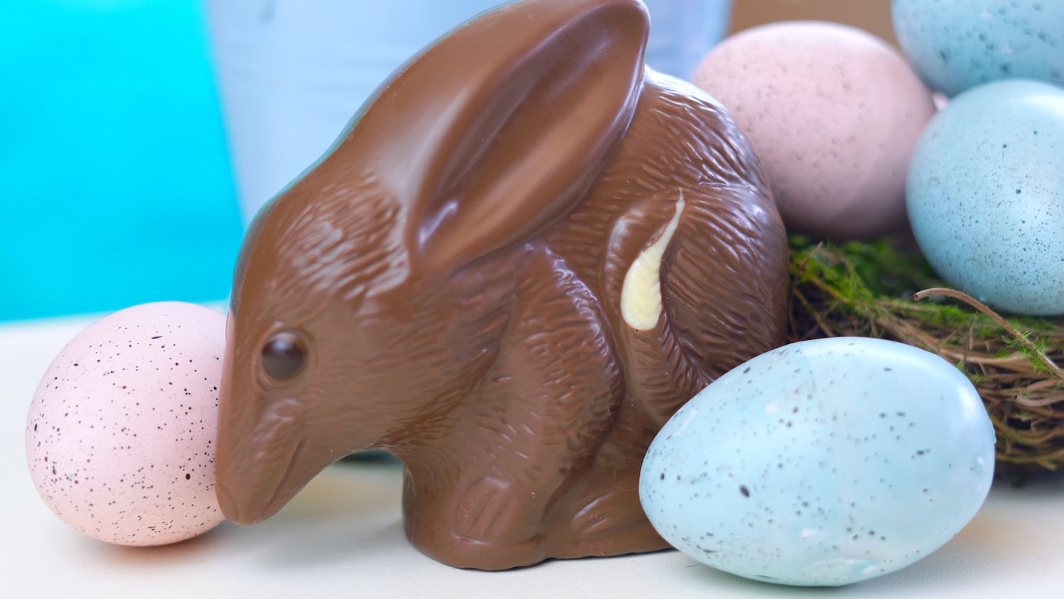 ein »Bilby« als Osterhase in Australien