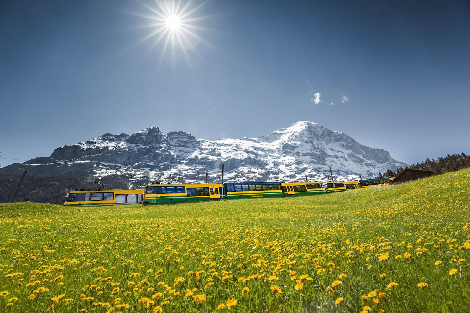 die Wengernalpbahn der Jungfrauenbahnen in der Schweiz