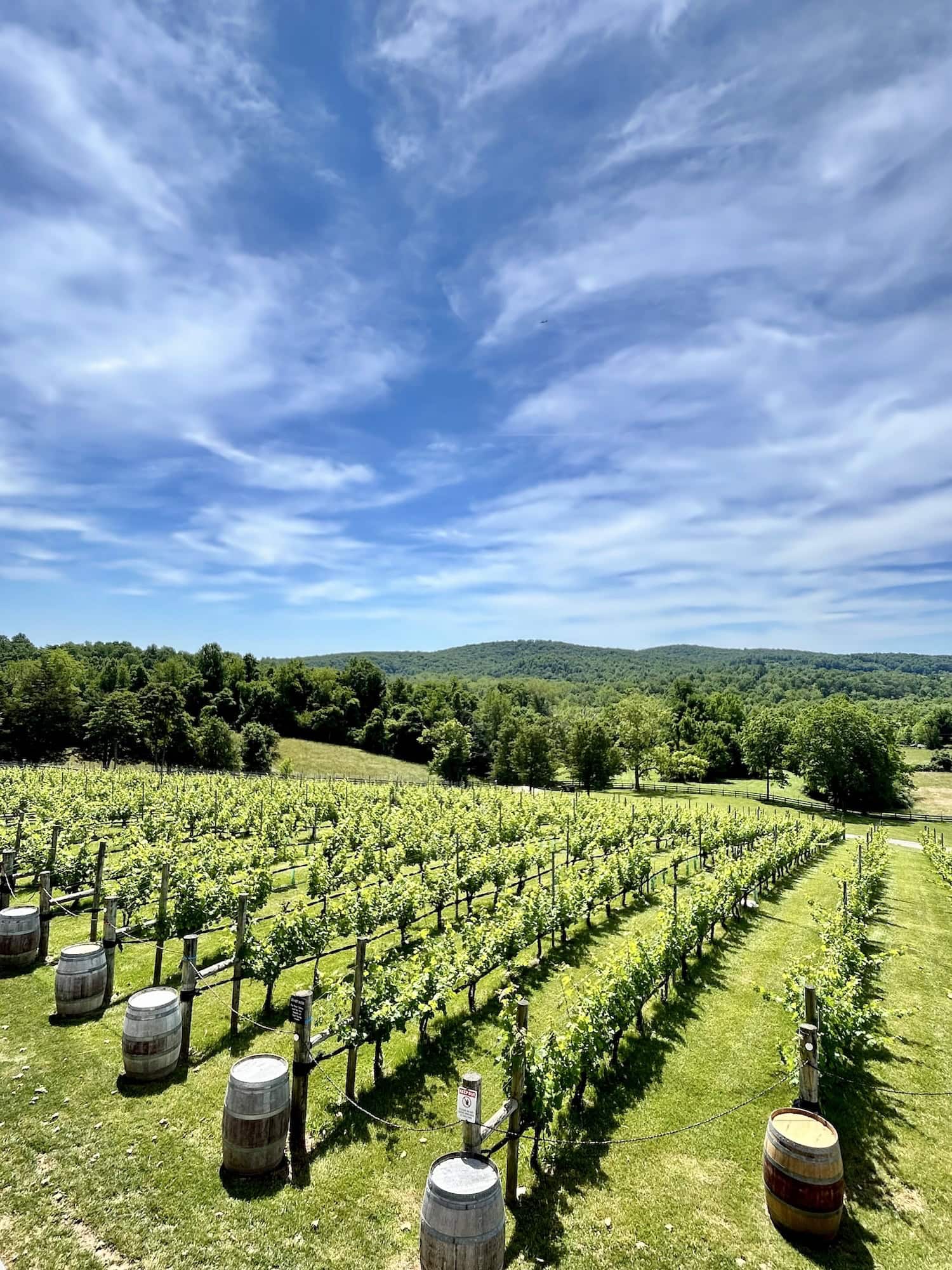 Capital Region: Weingut in Virgina