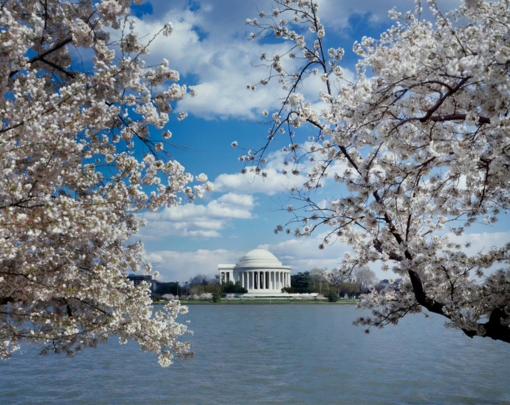 Capitol in Washington DC im Frühling