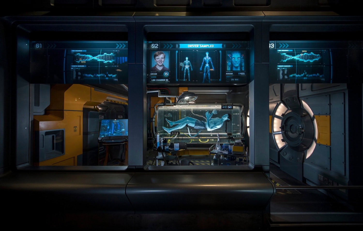 Attraktion in Disney World Florida: Avatar Flight of Passage