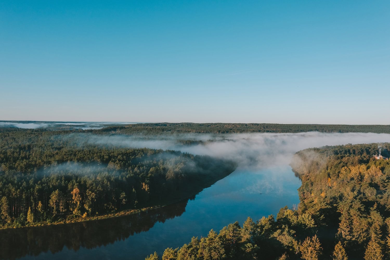 Natur in Litauen: Kiefernwälder der Stadt Birštonas