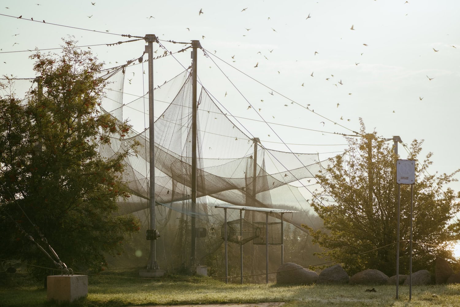 Die ornithologische Station Kap Vente