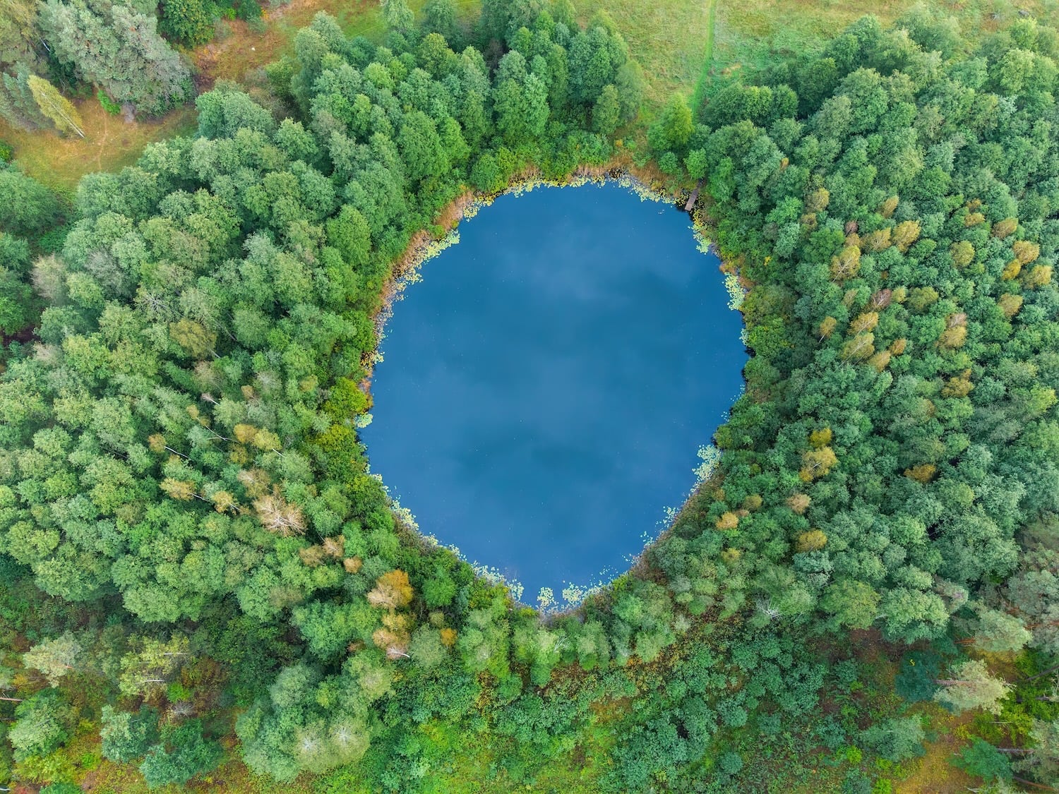 Natur in Litauen von oben