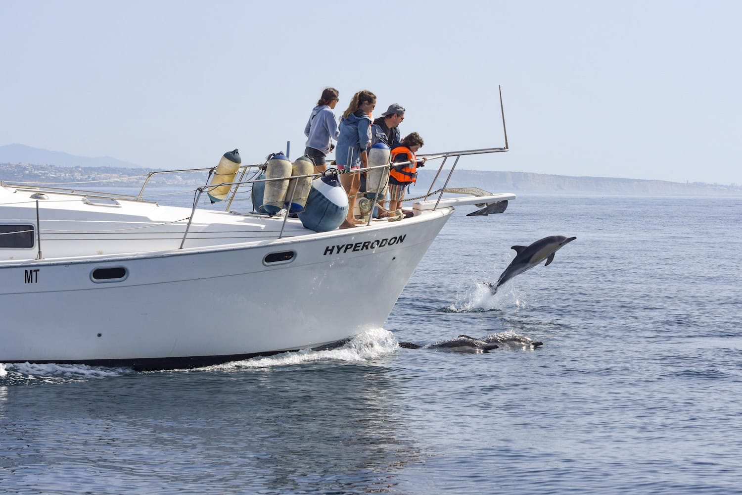 Delfine beobachten vom Boot mit Kindern an der Algarve