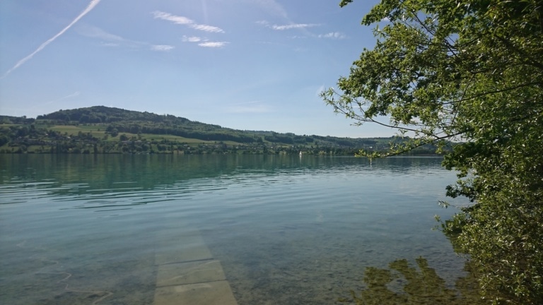 Hallwilersee in der Schweiz