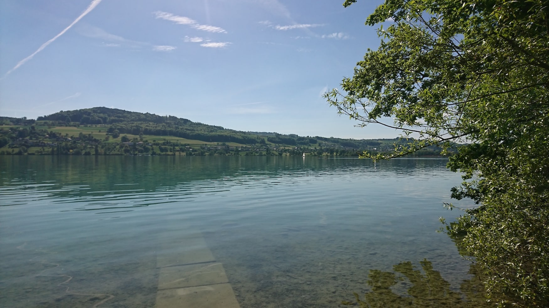 Hallwilersee in der Schweiz