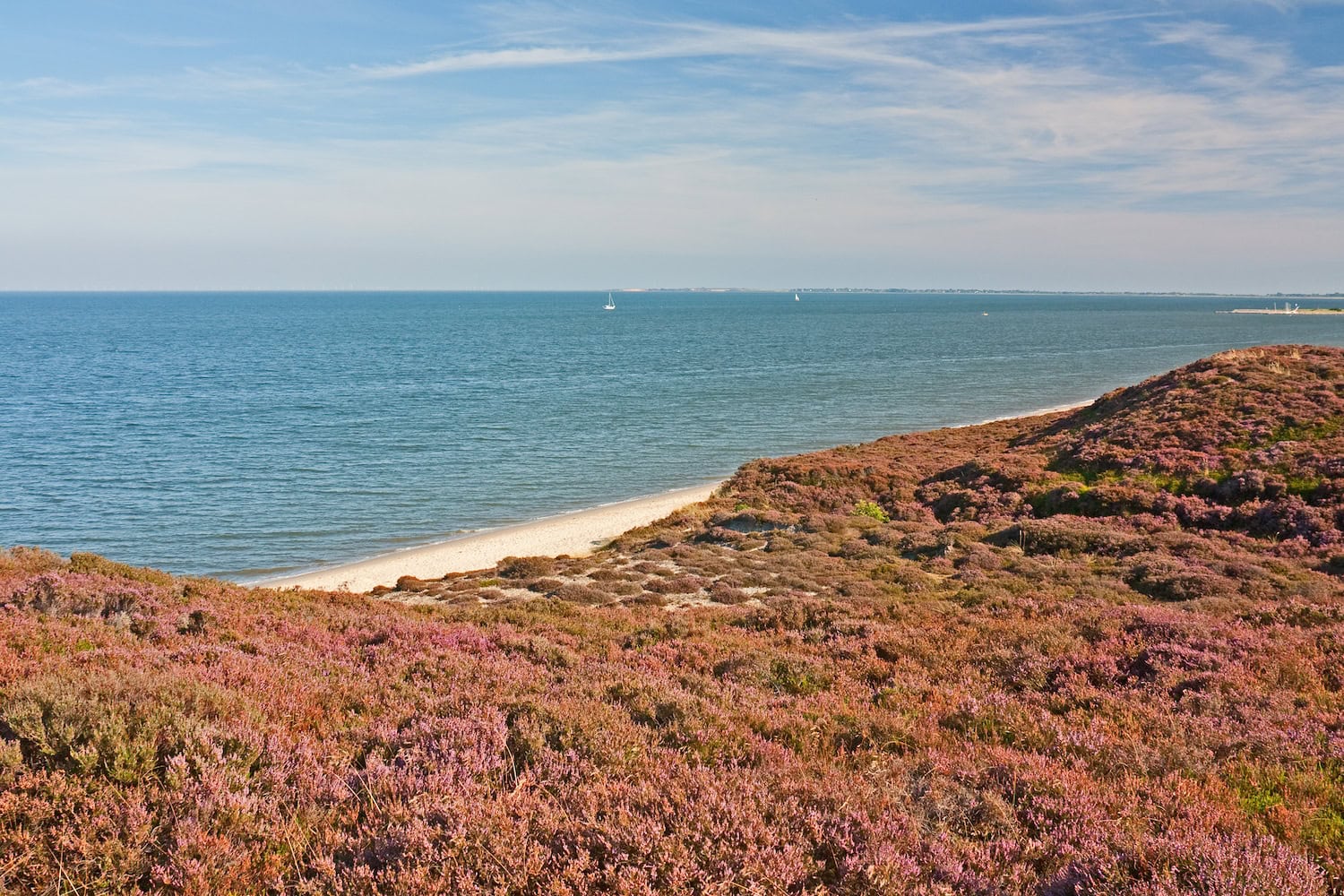 Braderuper Heide auf Sylt 
