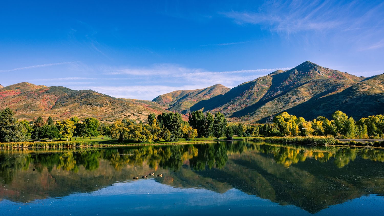 Natur in Utah im Herbst