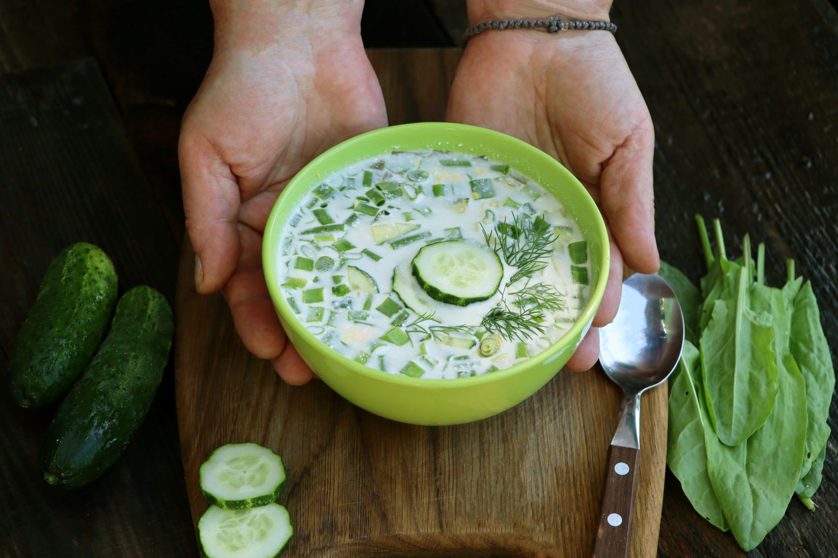 Person hält eine Schüssel mit Tarator-Suppe in der Hand