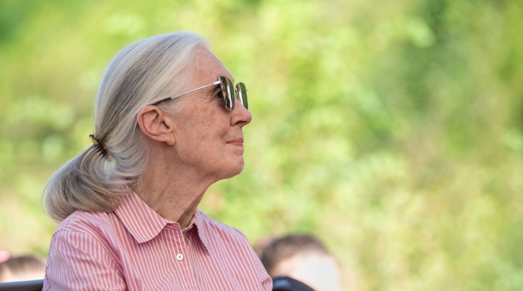 Jane Goodall während eines Besuchs in Budapest.