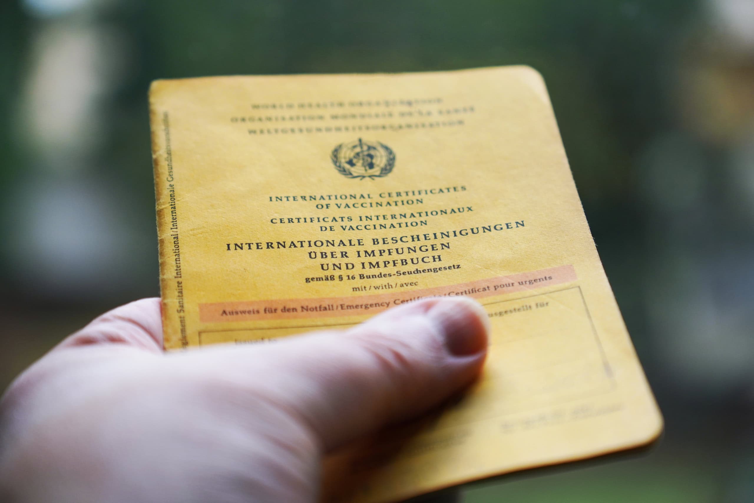 Ein Impfbuch.