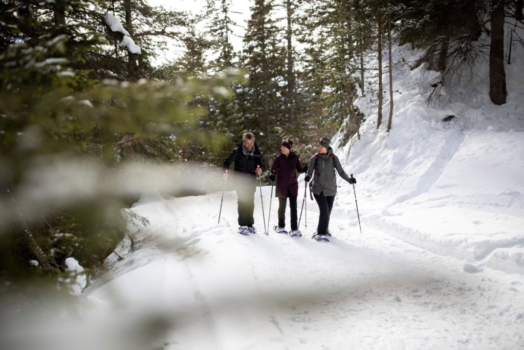Skiwanderer im Tiroler Oberland im Wald