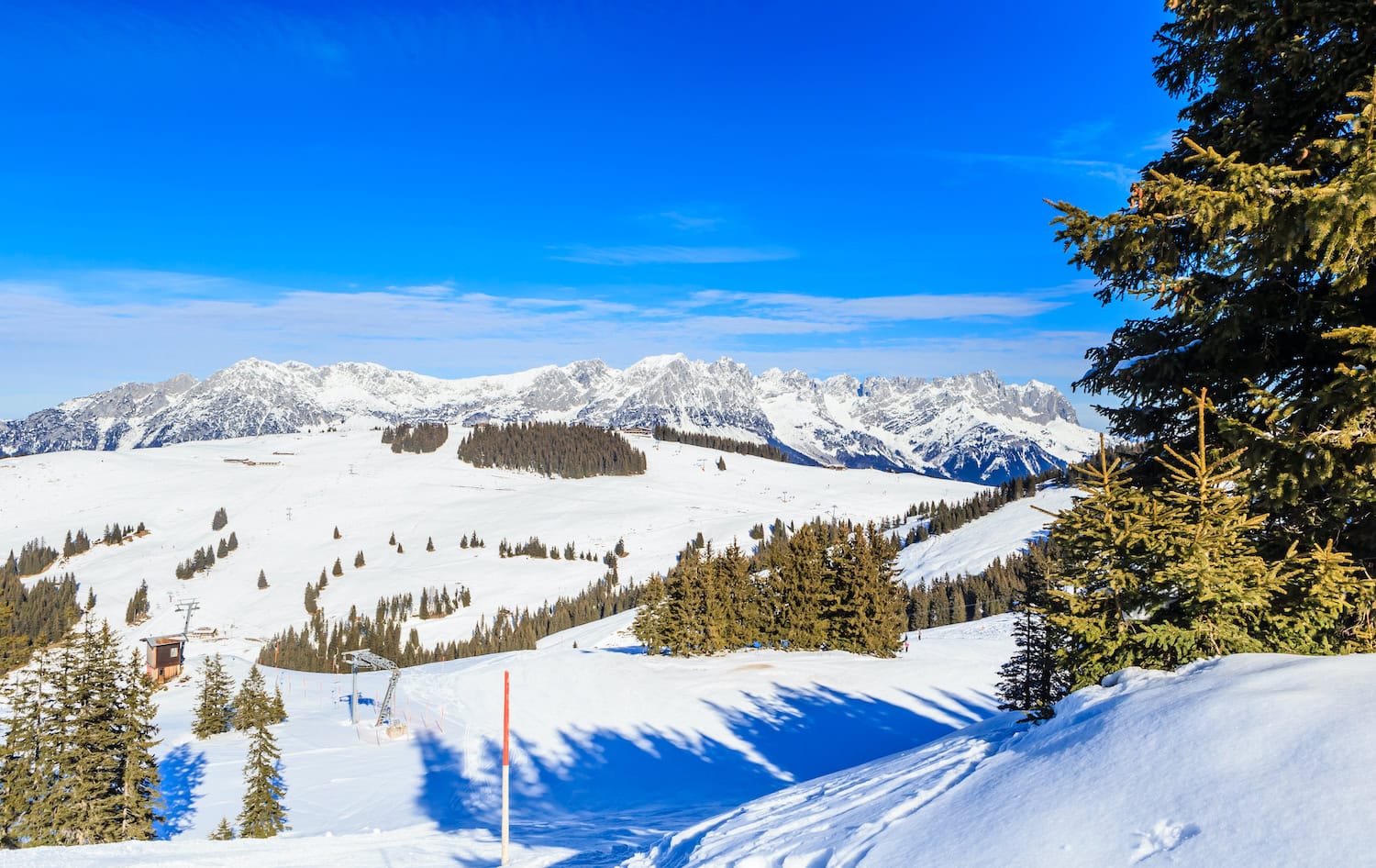Sonniges Skigebiet von oben mit Bäumen und Pisten