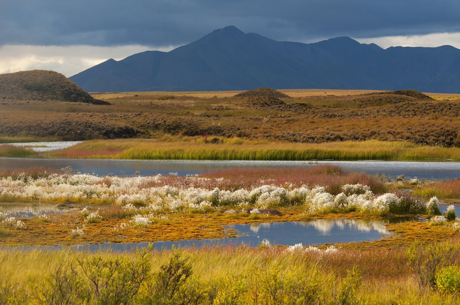 Mackenzie Mountains landscape, plateau, ponds,  bog, vegetation
Mackenzie Mountains landscape, plateau, ponds,  bog, vegetation
Photo Credit: J. F. Bergeron/NWT Tourism ST.JOHN'S