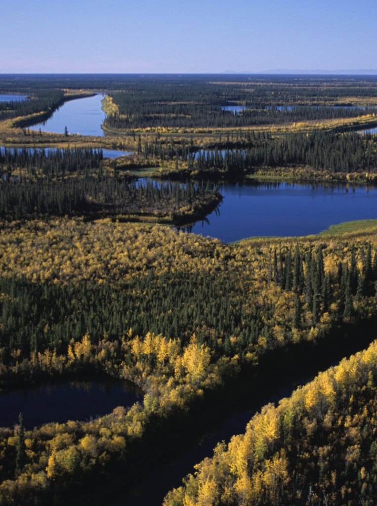 Mackenzie River in NWT Kanada