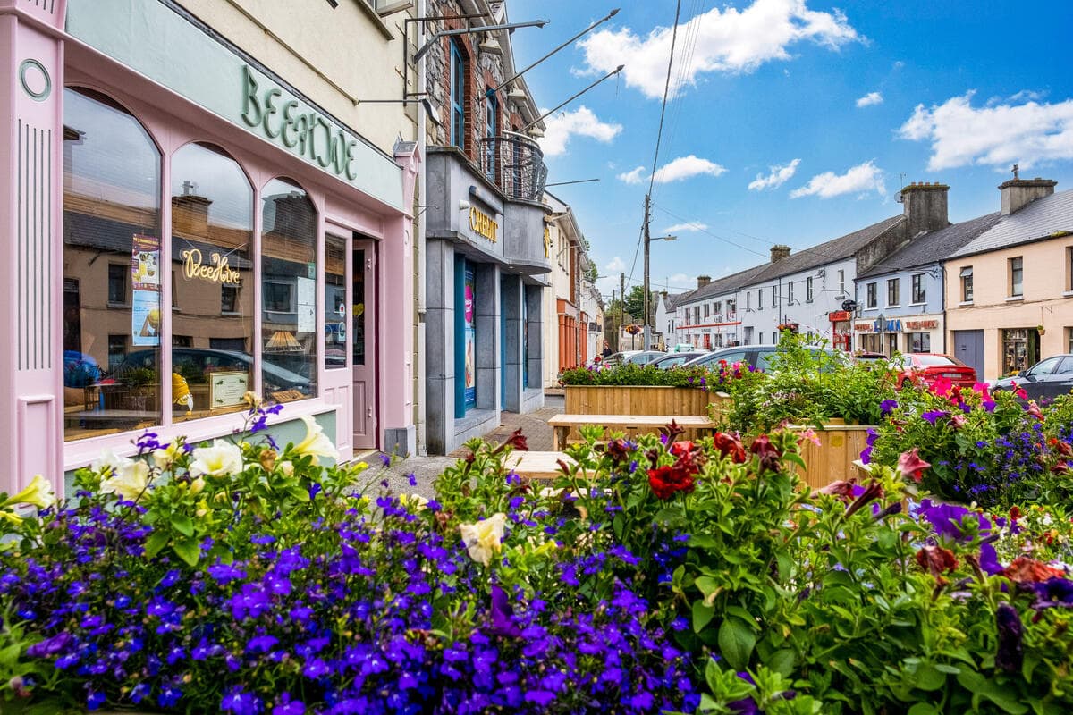 Das schöne Städtchen Portumna in Irland