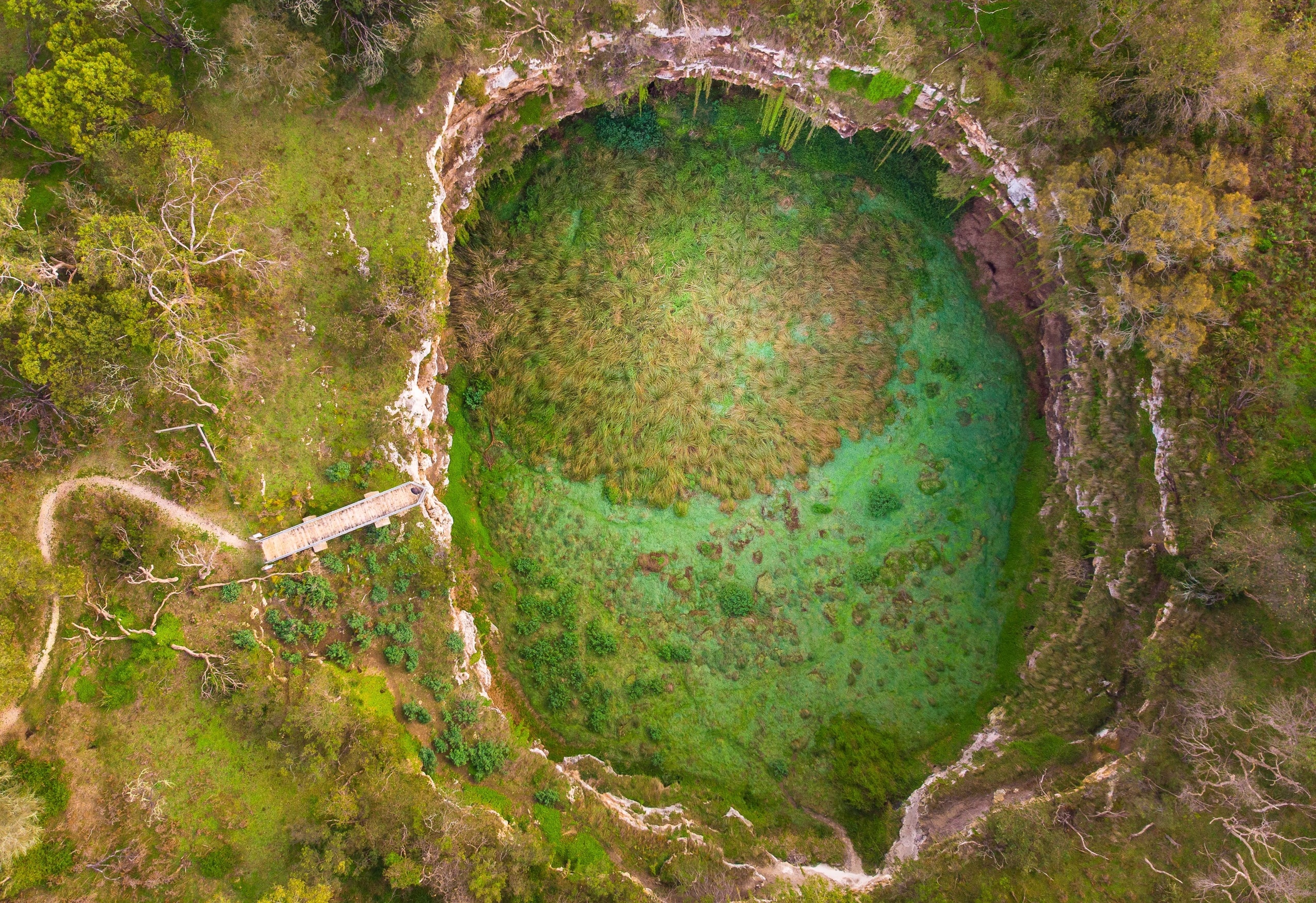 Das Caroline Sinkhole in Südaustralien, aus der Luft aufgenommen; in einem ovalen Krater wächst fast schon smaragdgrünes Gras