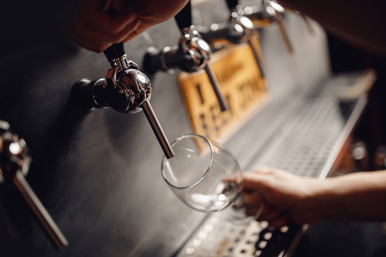 in ein Glas wird frisches Bier gezapft