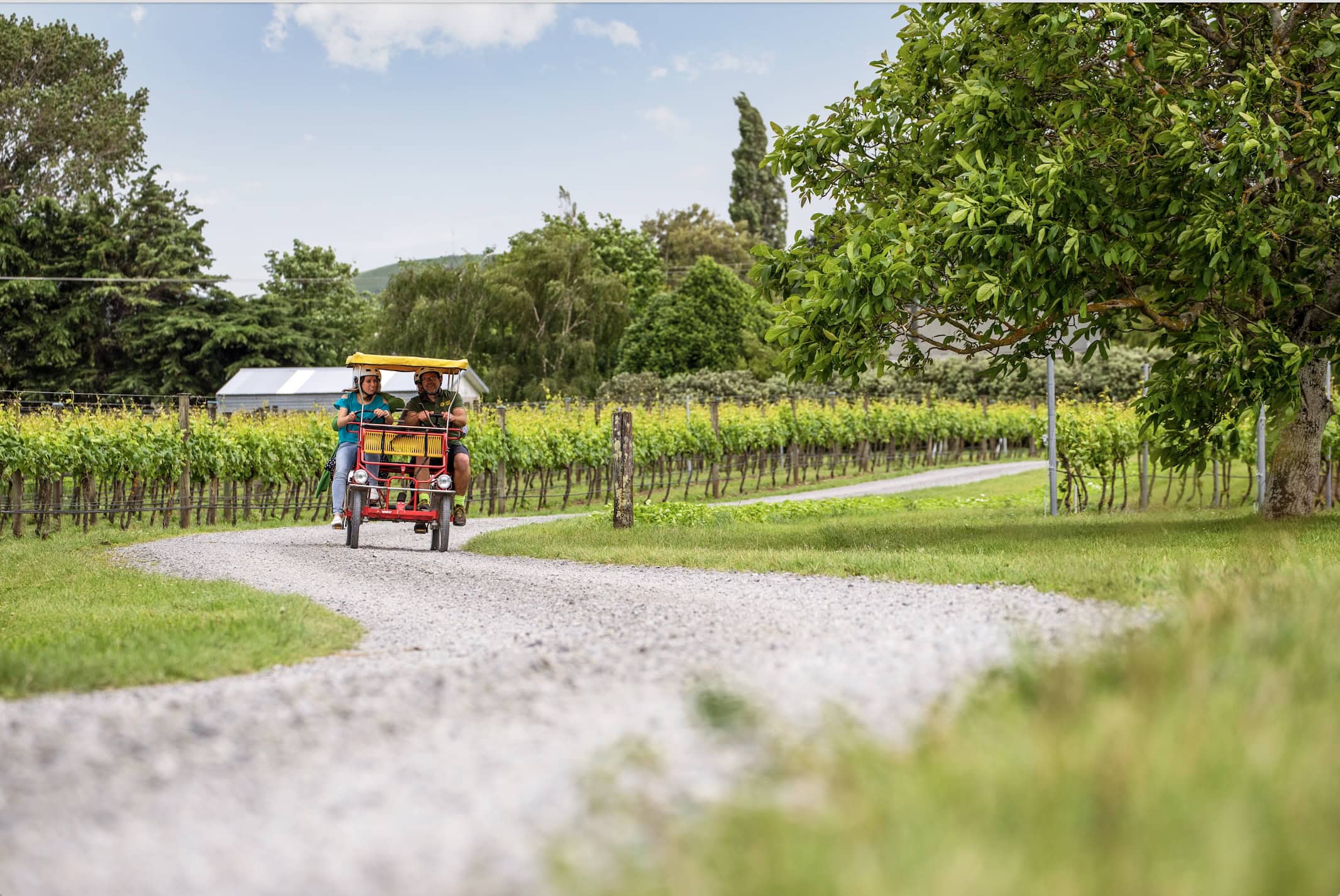 Ein Paar fährt durch Martinborough. 