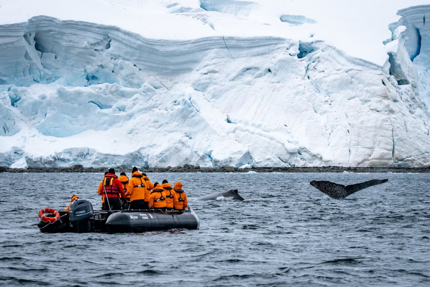 Expedition in die Antarktis mit Seabourn