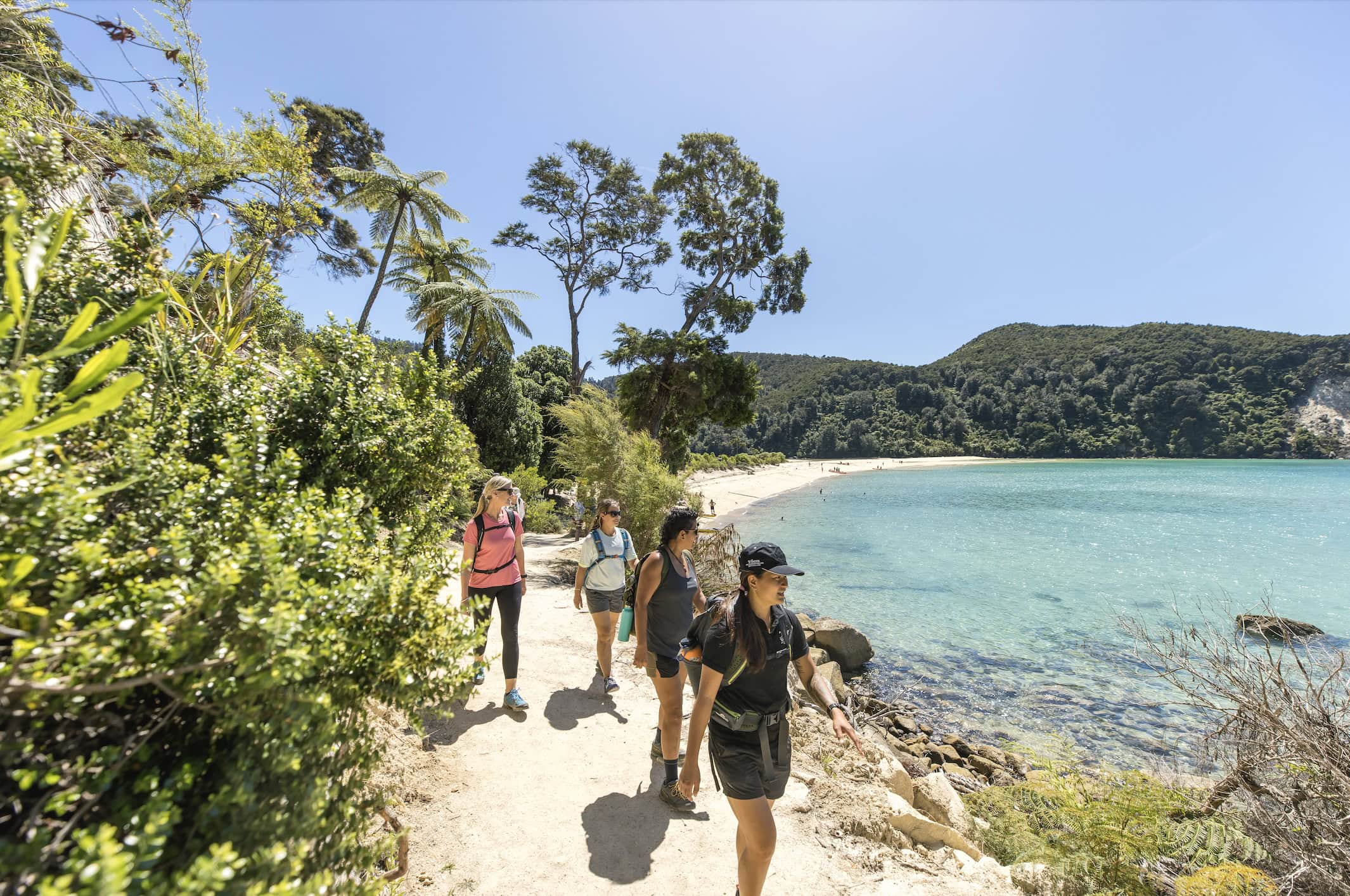 Wanderer auf Küstenweg entlang eines Strandes mit türkisblauem Wasser und hohen Bäumen