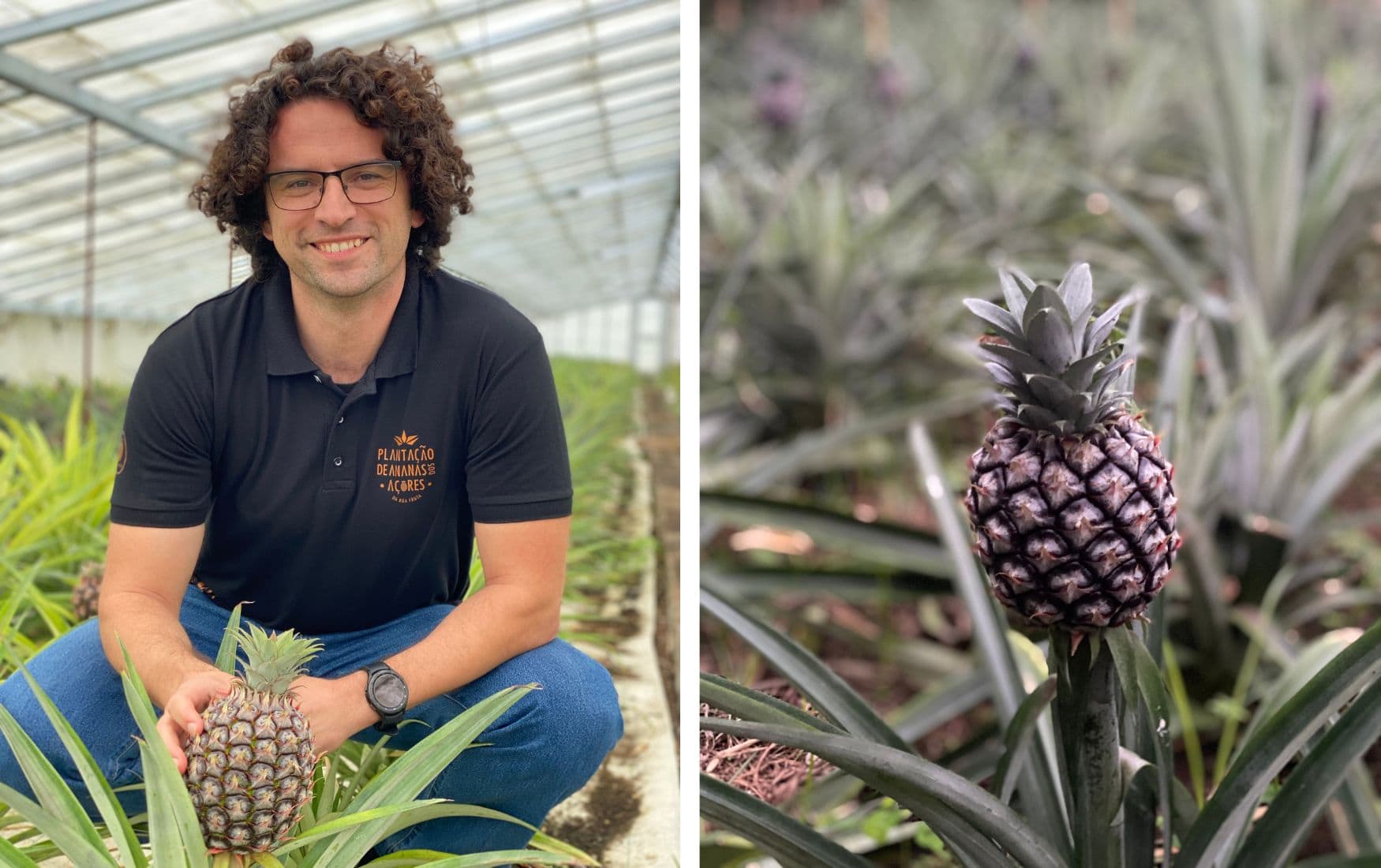 Zu Besuch auf der Ananas-Plantage von Da Boa Fruta