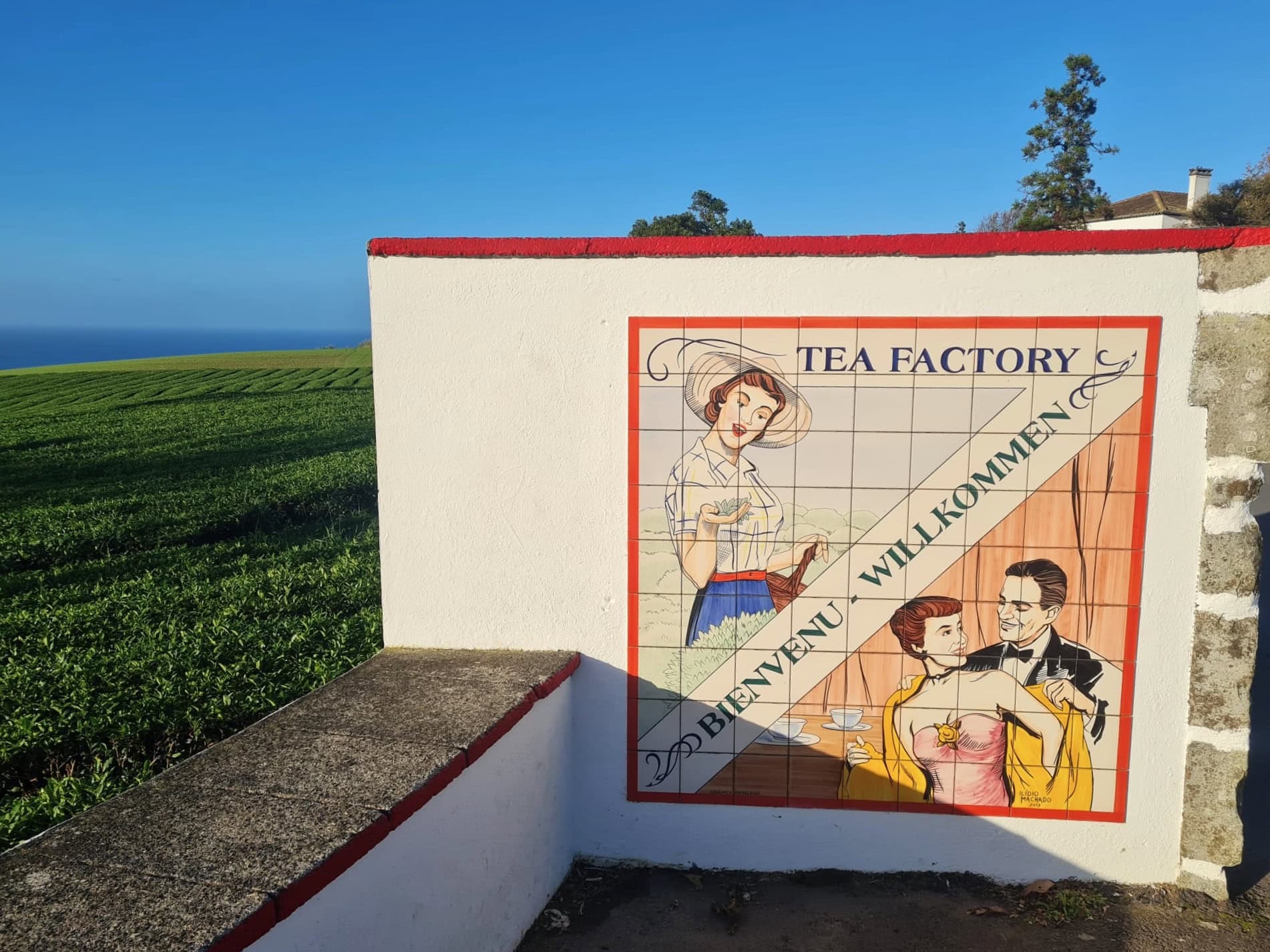 Eingang zur Teeplantage Cha Gorreana auf Sao Miguel auf den Azoren
