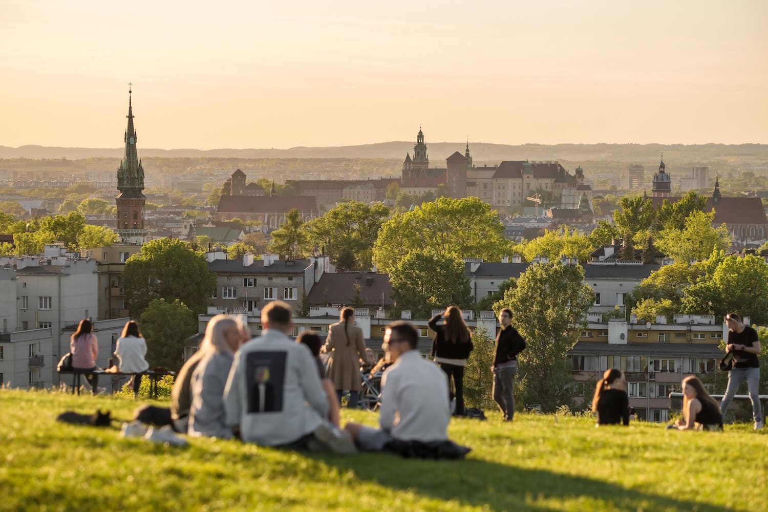 Blick über Krakau im Sommer mit Menschen im Gras sitzend