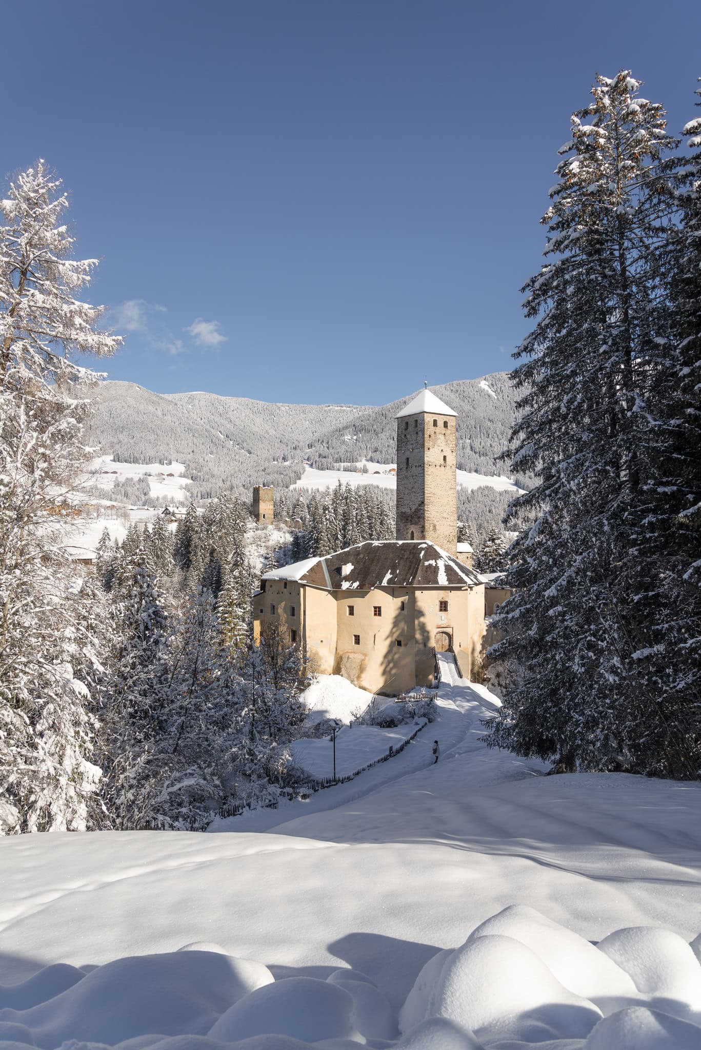 Das Schloss Welsperg.