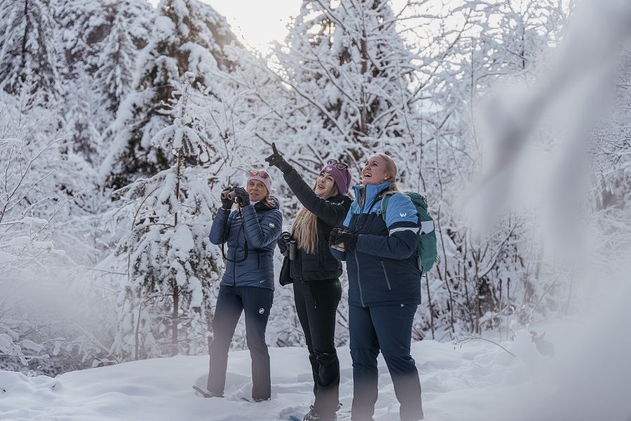 Schneeschuhwandern auf dem Nature Watch Trail