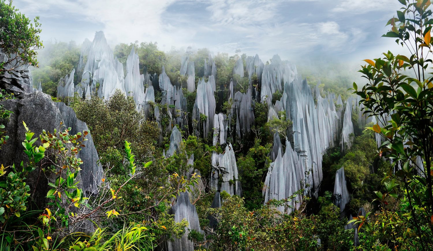 Pinnacle Felsen im Mulu Nationalpark