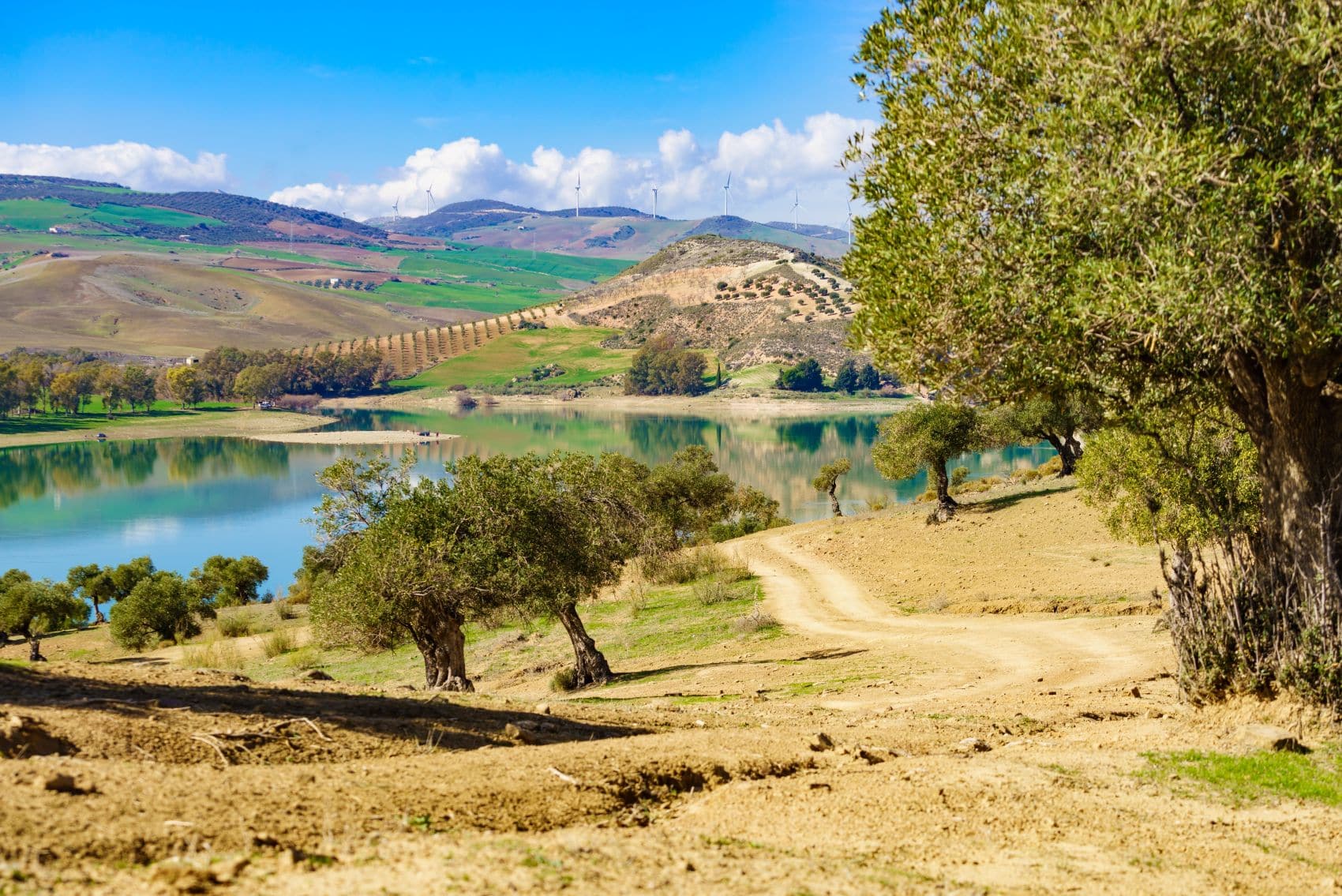 Landschaft in der Region Guadalhorce in Andalusien