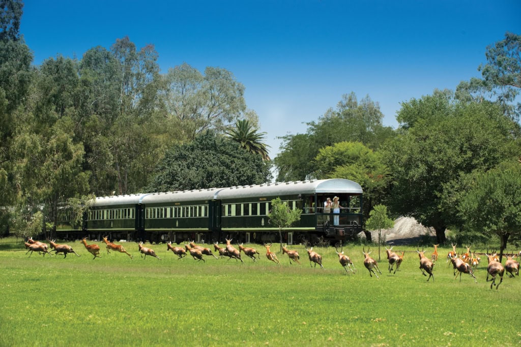 Zug von Rovo Rails