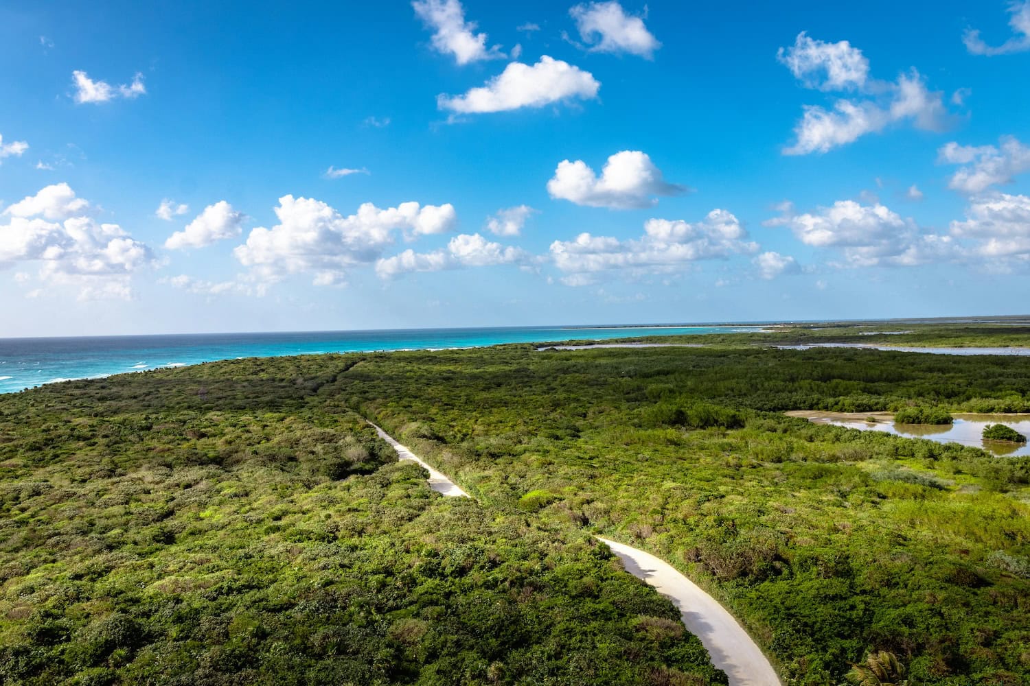 Naturpark auf Cozumel