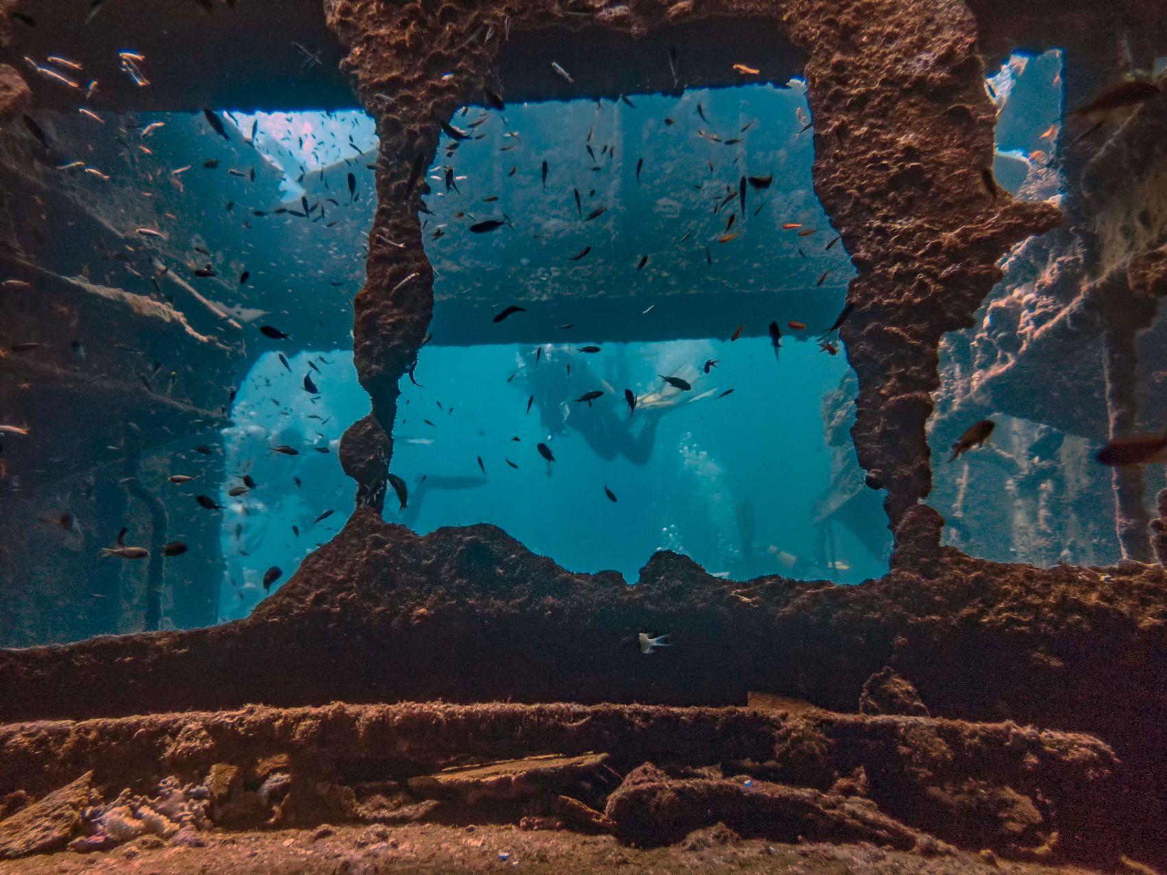 Taucher beim Schiffswrack Crisoula K bei El Gouna