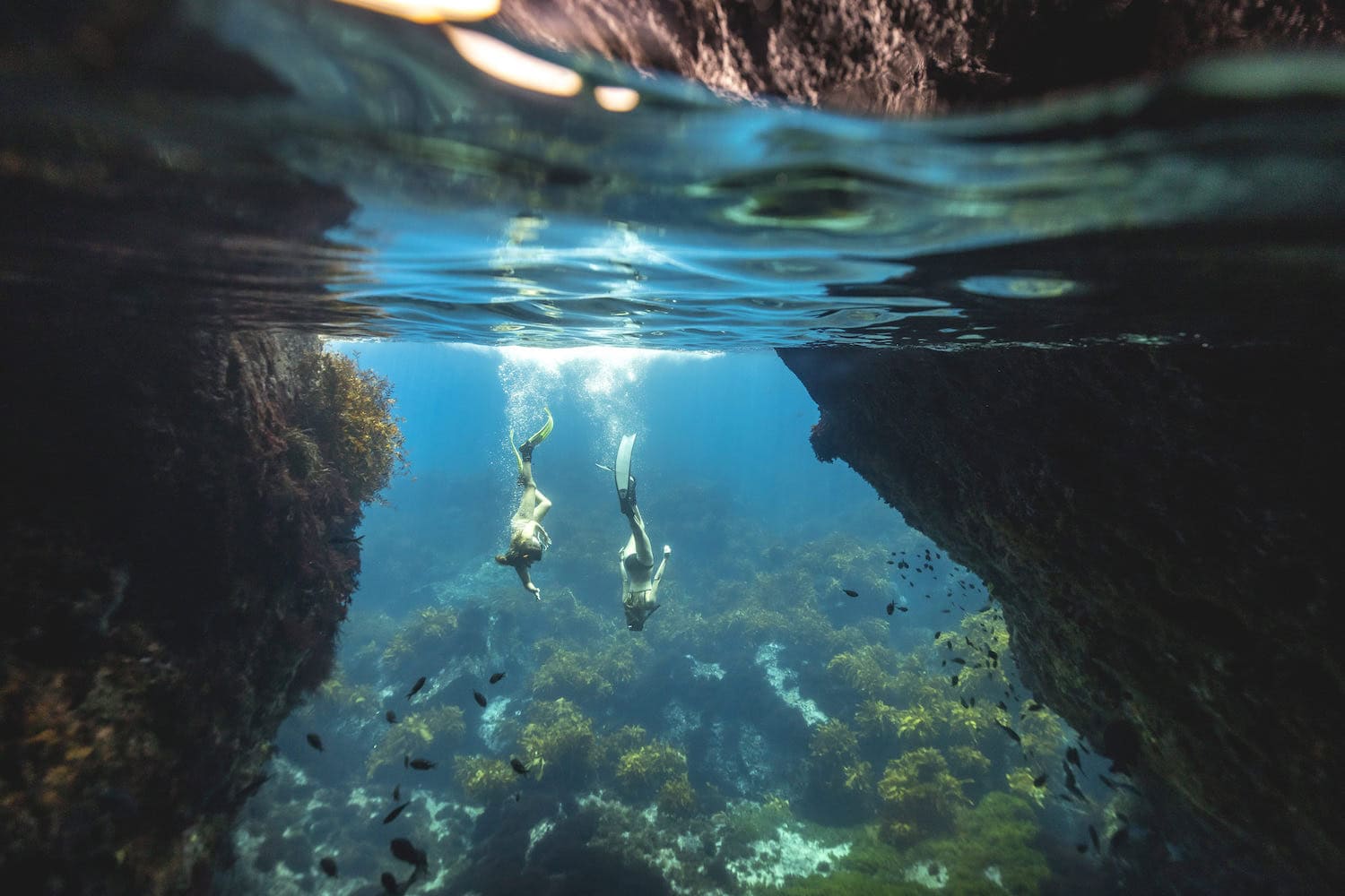 Schnorcheln in der Unterwasserwelt der Poor Knights Islands in Neuseeland