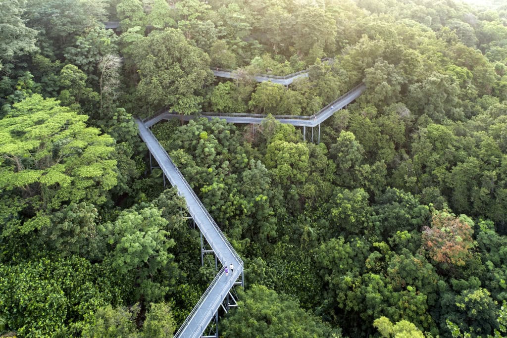 Unterwegs auf dem Southern Ridges Forest Walk, die mehr als zehn Kilometer durch Singapur führen